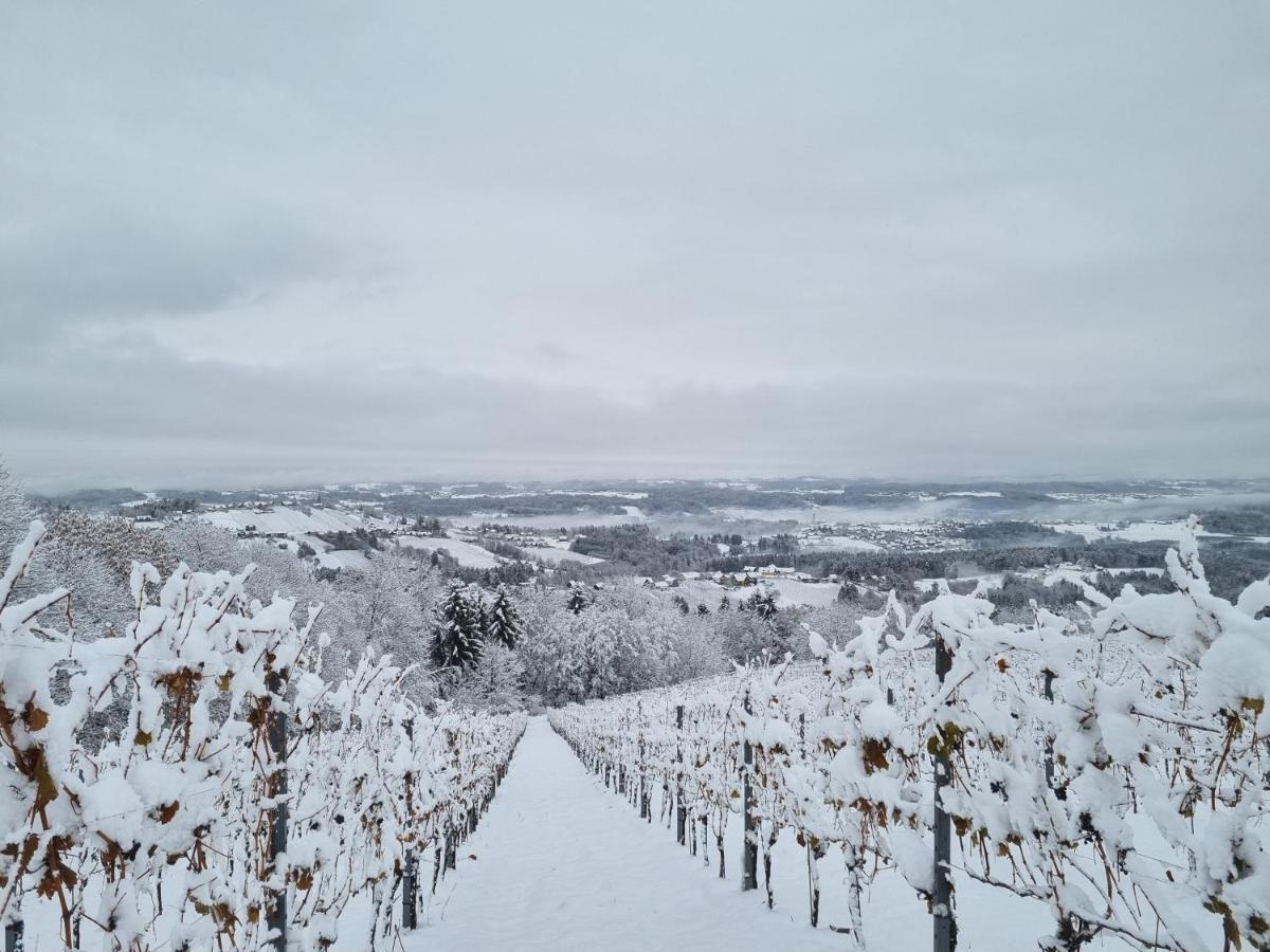 Vila Weinstoeckl Hochgrail Pures Sein Sankt Stefan ob Stainz Exteriér fotografie